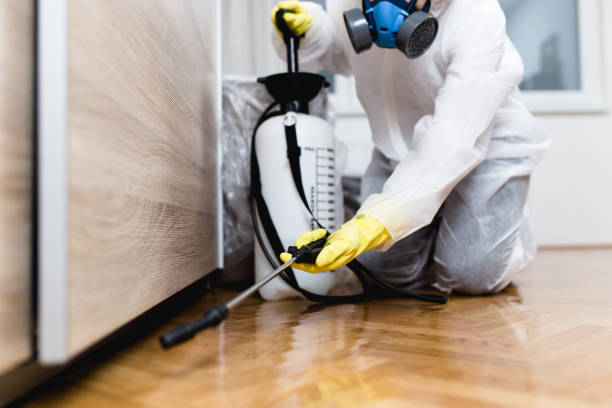 Best Residential Pest Control  in Jeanerette, LA