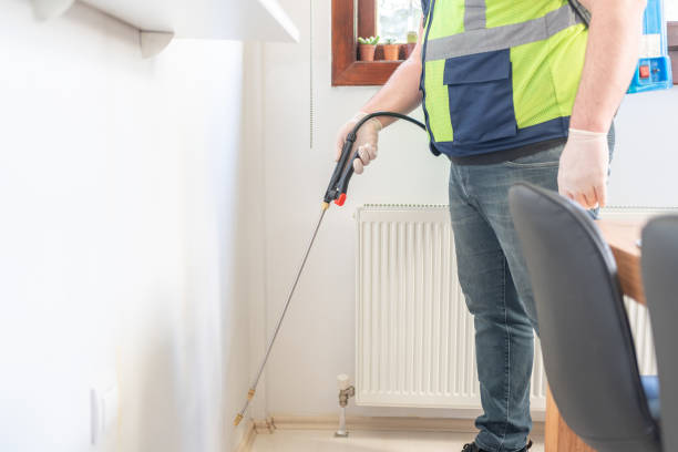 Best Local Pest Control Services  in Jeanerette, LA