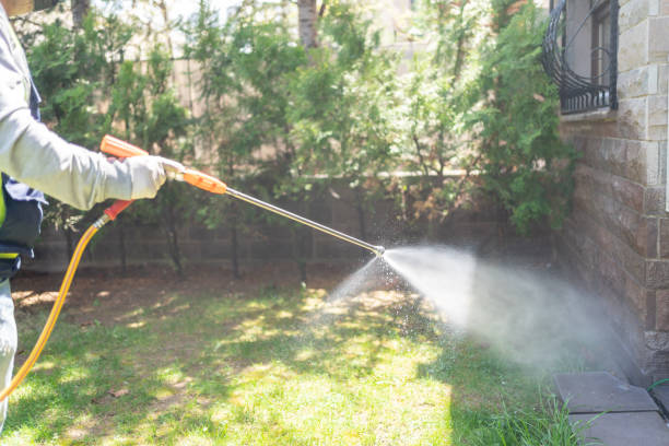 Professional Pest Control in Jeanerette, LA