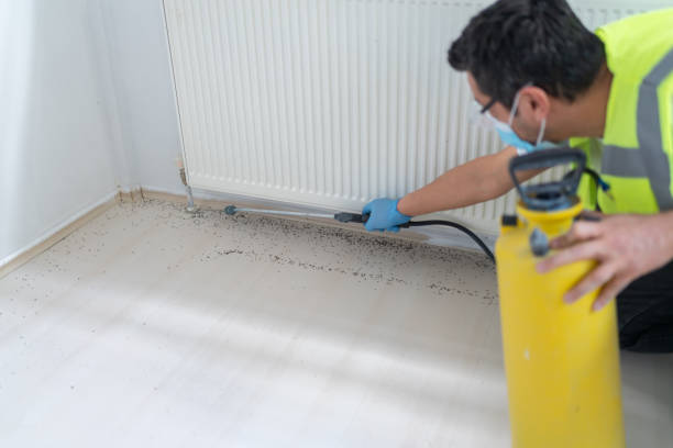 Best Best Pest Control Companies  in Jeanerette, LA