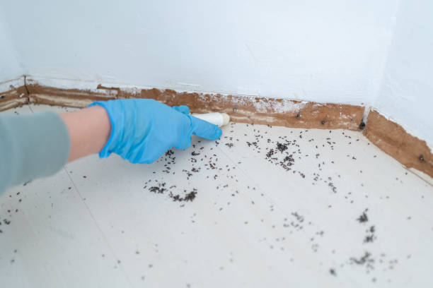 Pest Control Cost in Jeanerette, LA